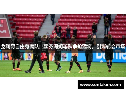 戈利奇自由身离队，霍芬海姆等队争抢猛将，引爆转会市场